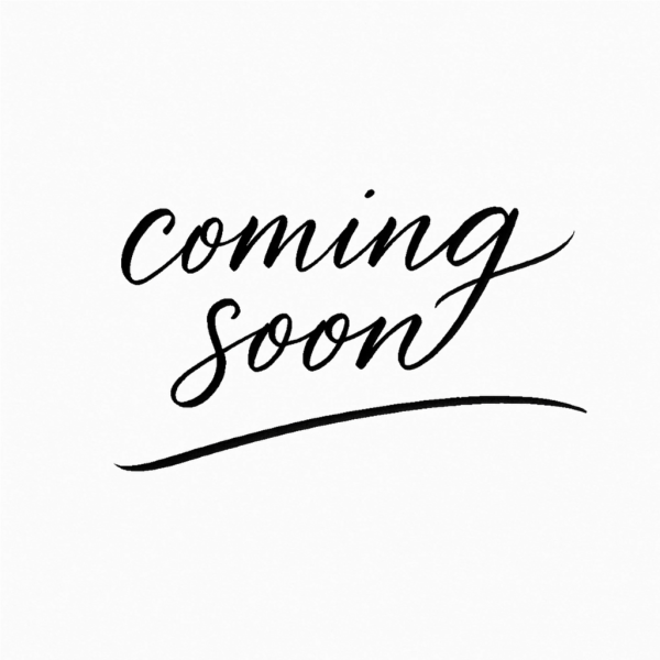 KBM 20, Klebe- und Bewehrungsmörtel - 20 kg