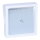 Kipp-Putztür Flach, 160 x 160 mm, weiß - 4-er Packung